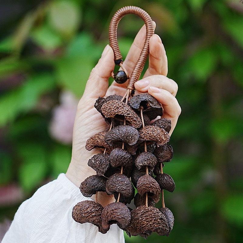 Moon Fruit Hand Bell Natural H – Musical Instrument Chimes recenzja i cena
