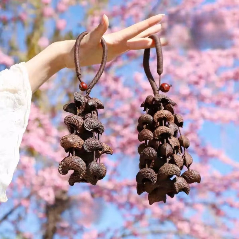 Moon Fruit Hand Bell Natural H – Musical Instrument Chimes recenzja i cena