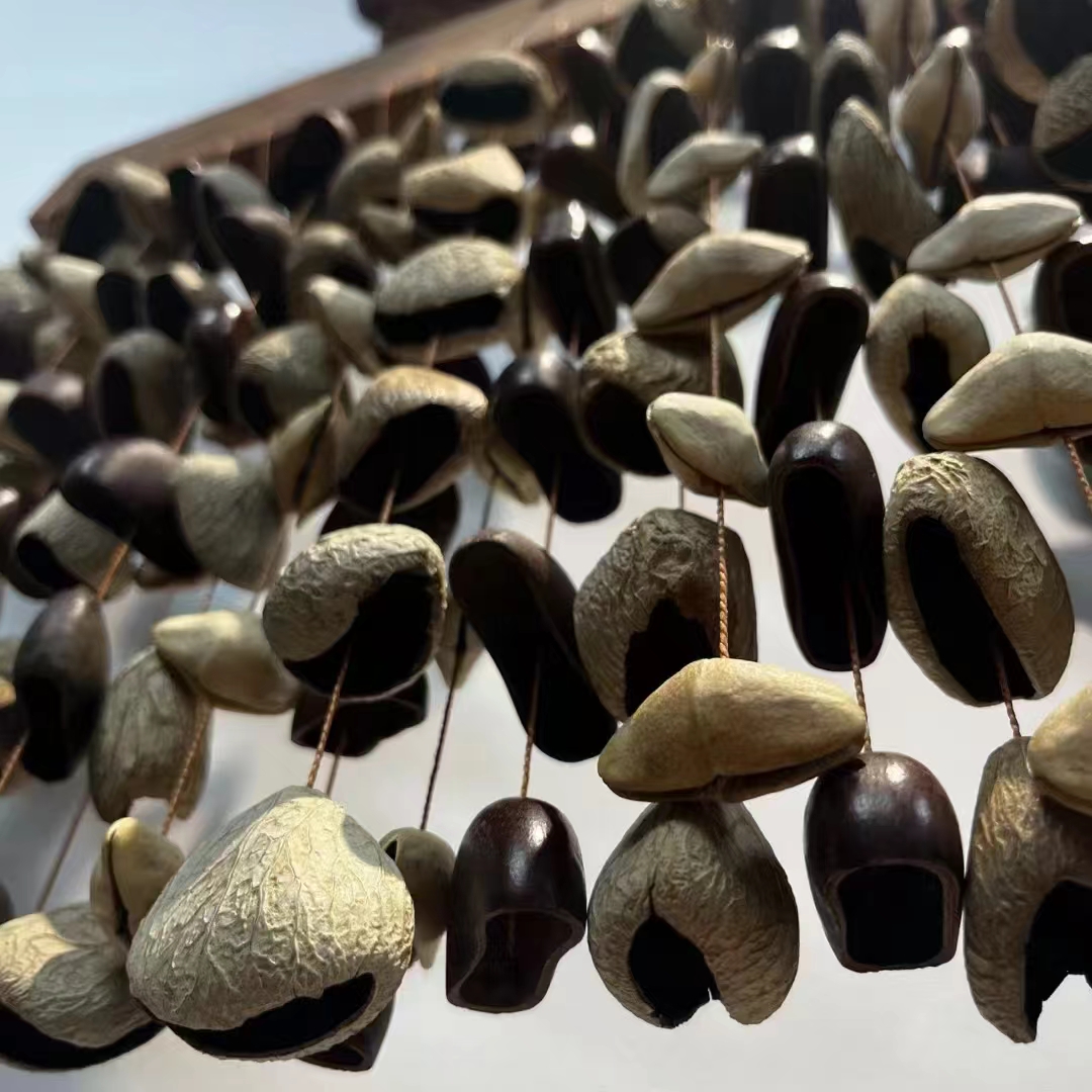 Fruit Shell Meditation Chimes  – Musical Instrument Chimes recenzja i cena