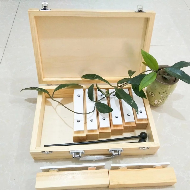 8 Tone Sound Brick with Wooden – Celesta Musical Instrument recenzja i cena